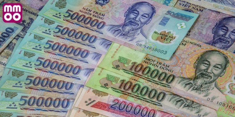 Quy trình xác minh thực hiện chuyên nghiệp